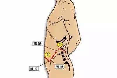 白带多艾灸哪个穴位有效,白带多用艾灸需要灸哪里