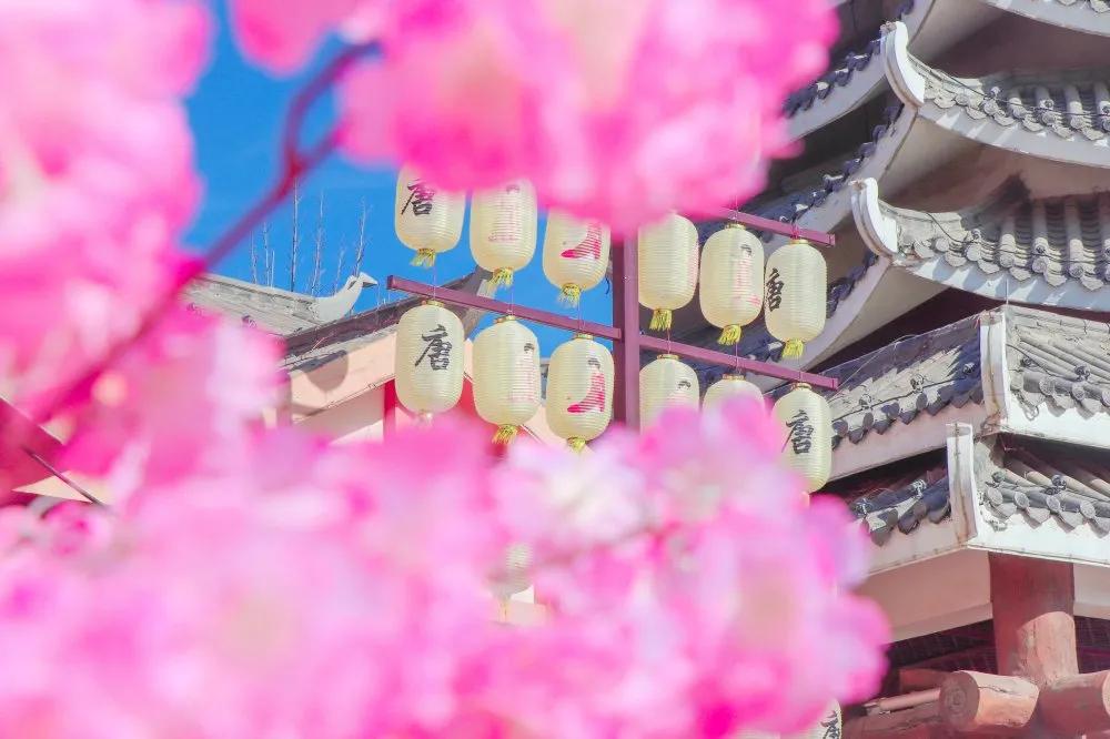 济南方特国潮华裳巡游,济南方特七夕节夜场时间