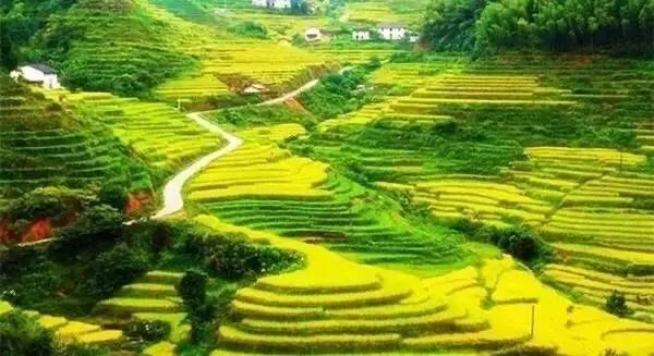 江西十大旅游秘境,春节绍兴去江西十大最美自驾路线