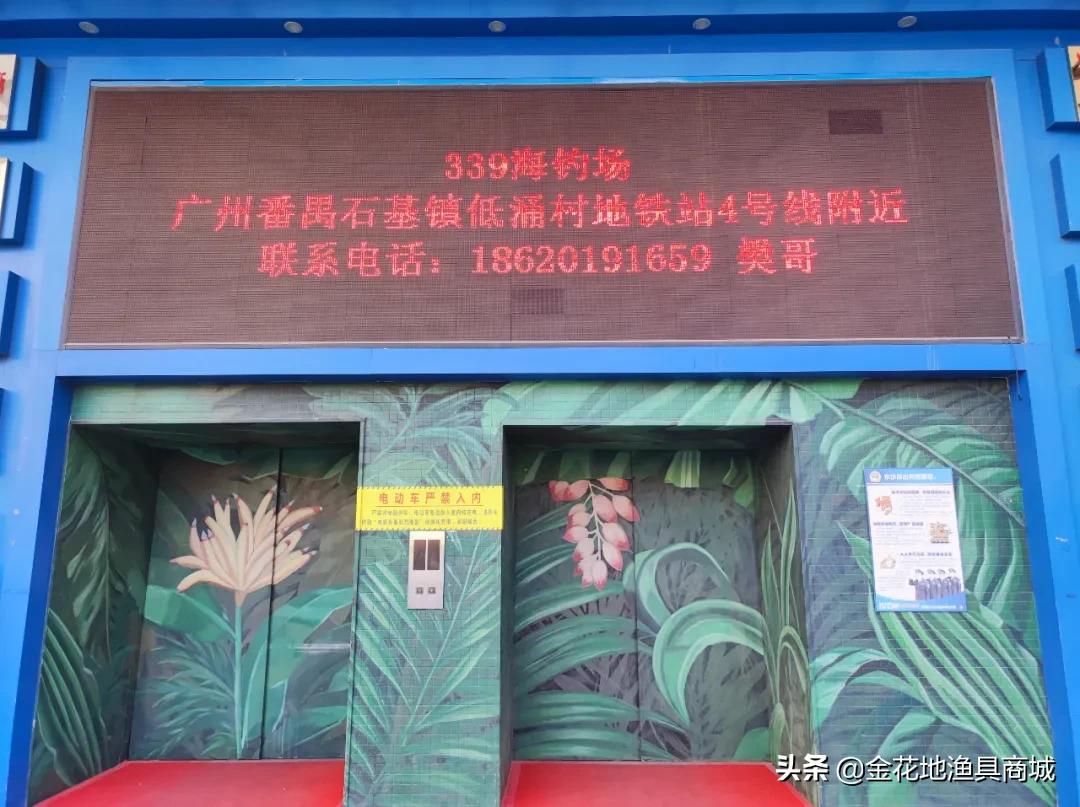 金花钓场,金花地钓鱼门票