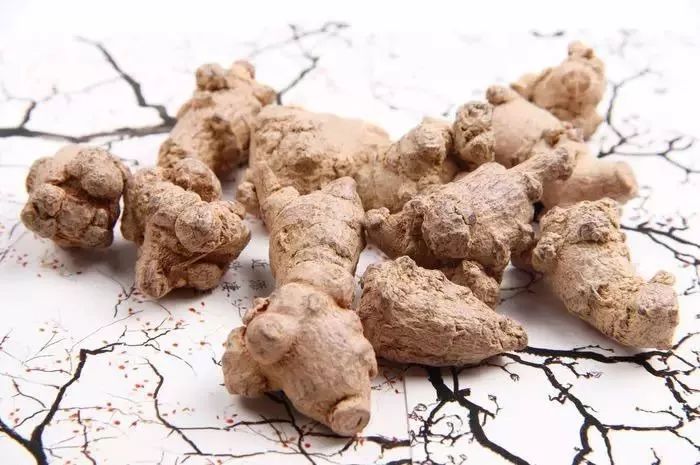 三七保健药,每天认识一味药三七