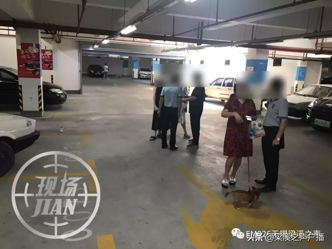 地下车位被占小区,地下车库私家车位被占