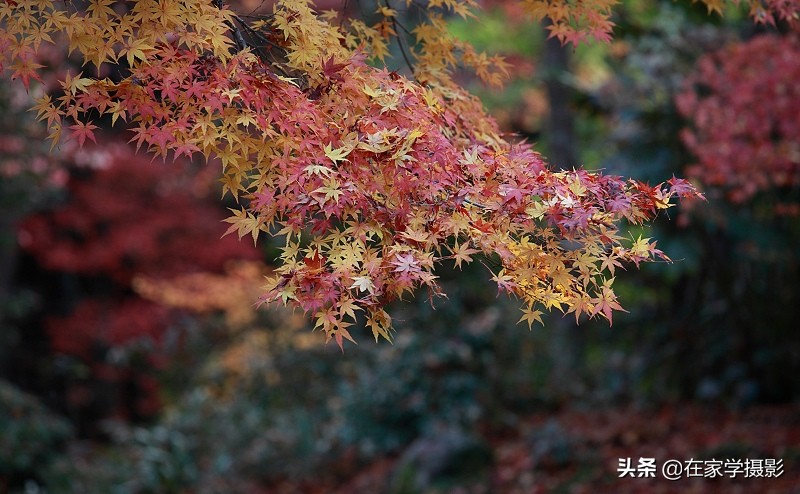 卡色uv镜和偏振镜哪个好,uv镜cpl偏光镜