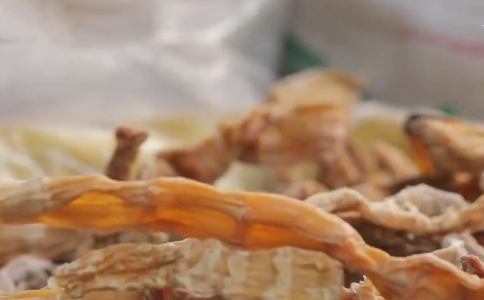 秋季山珍“方竹笋”，味美营养，常食延年益寿