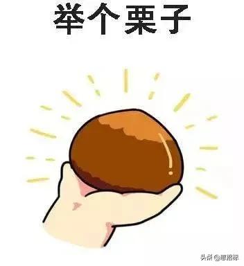 政府采购招标代理是什么意思,政府采购中标方承担招标代理费