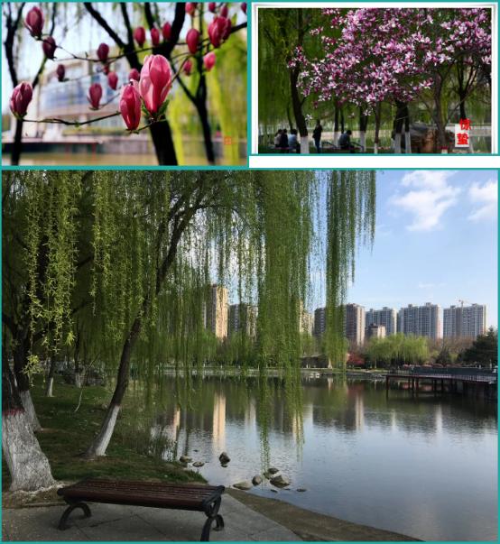 颜值爆表!28万平绿地,55%绿化率,来看西安这所园林式高校