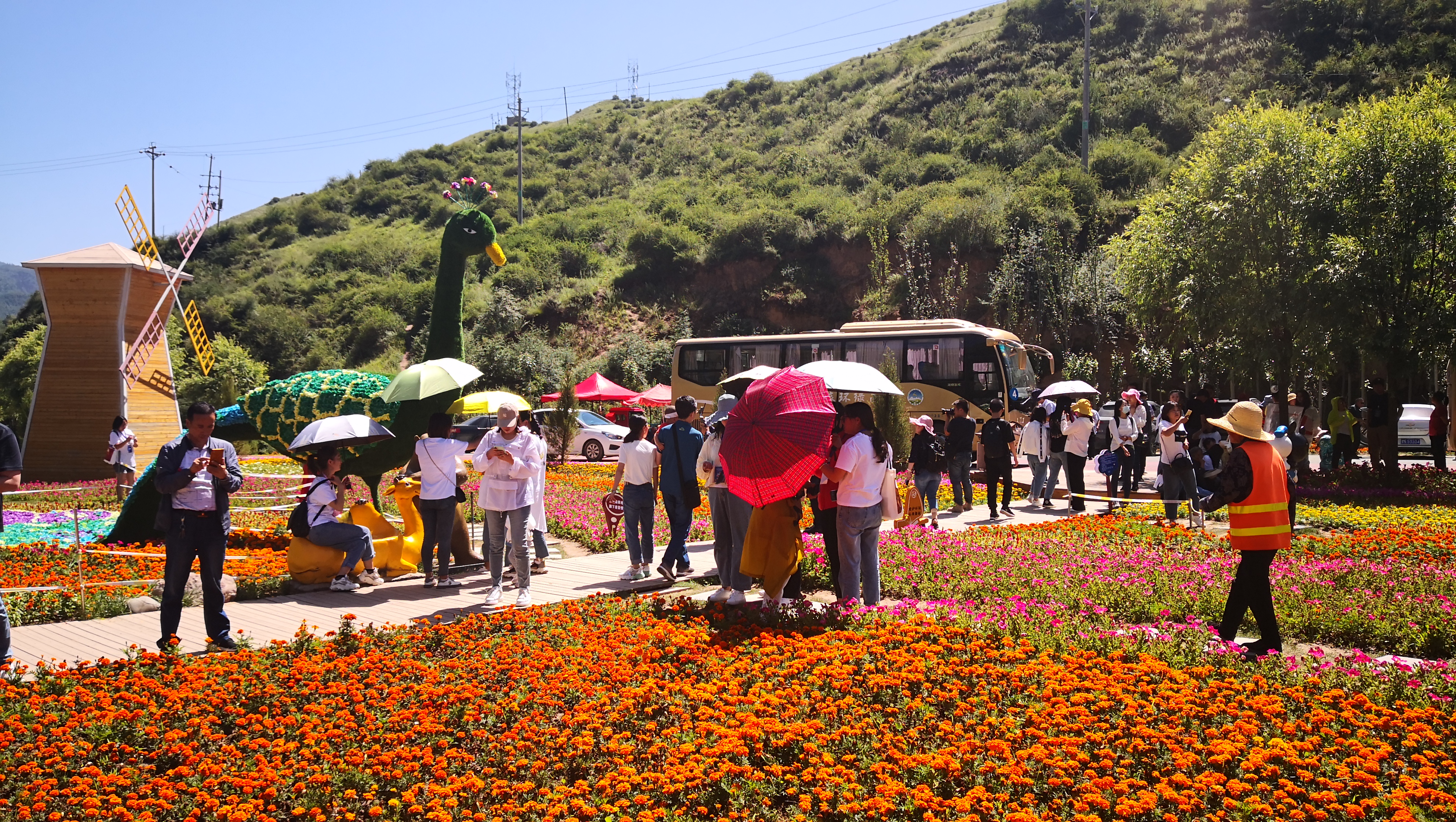 让短视频、抖音走进甘南、走进冶力关景区
