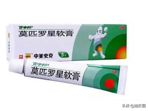 狗狗常备的五种人用药品,狗狗常备的五种药品