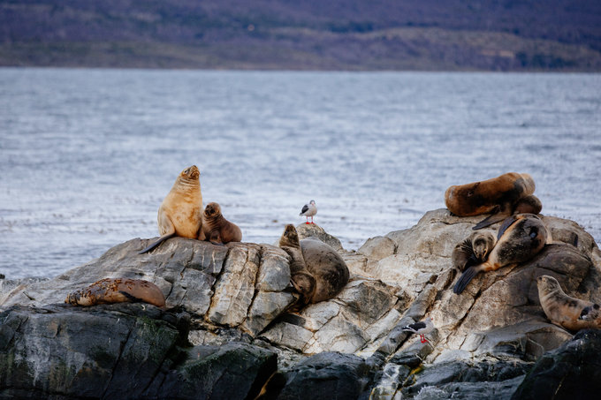 跟着电影游埃及,黎耀辉不如我们从头来过电影台词