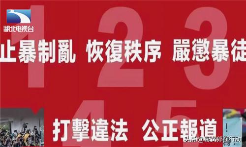 挺香港反*力暴**!饭圈女孩、帝吧网友出征外网,守护祖国绝不动摇