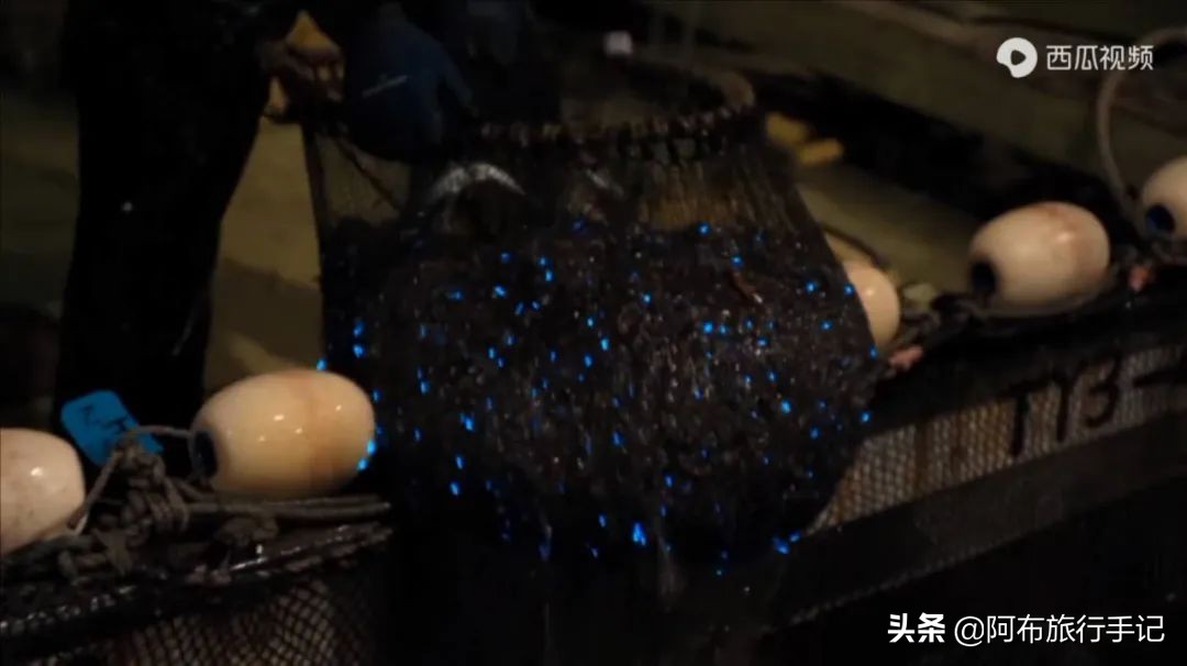 豆瓣9.1分，看过不足1500人，我却复盘了张日本最全野游图