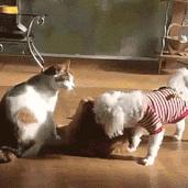 在外受气回家打儿子,在外受欺负回家打老婆孩子