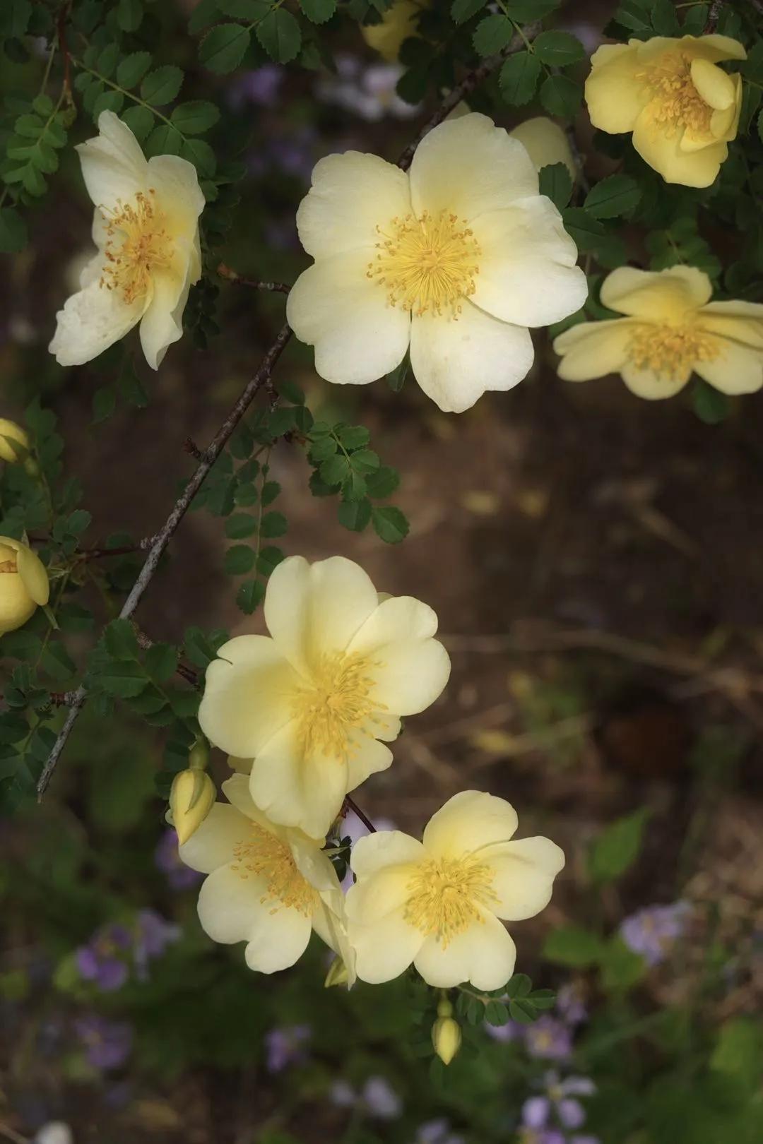 三生三世在古代到底指多少年,三生三世具体是指