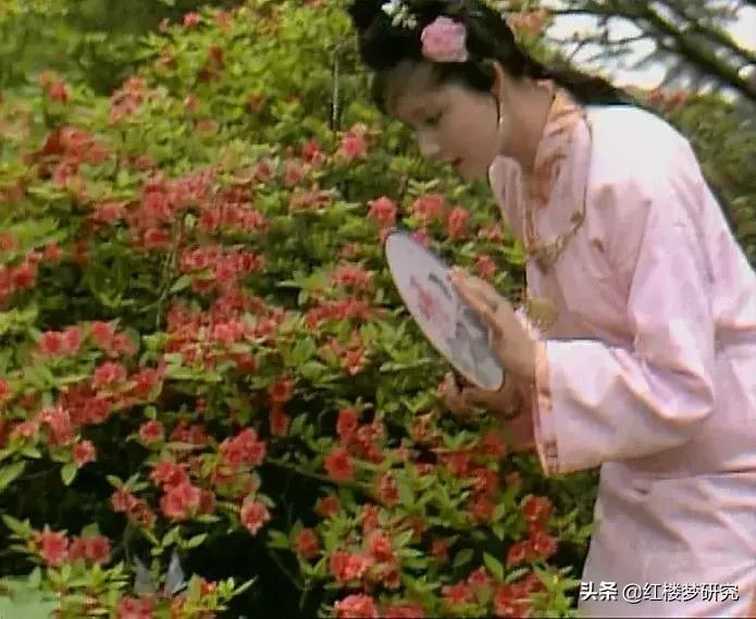 宝玉说宝钗像杨妃宝钗为什么大怒,为什么宝钗被比作杨妃不高兴