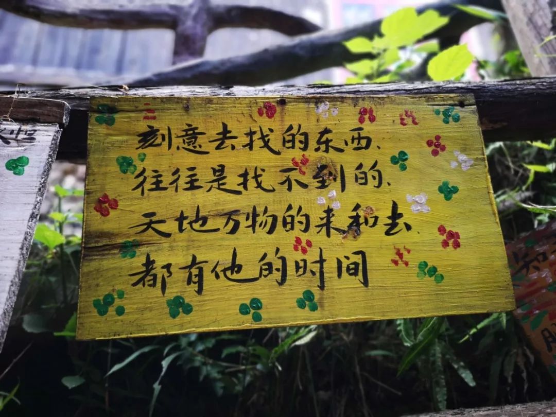 贵州中秋旅游最佳去处,贵州旅游十大景点排名中秋