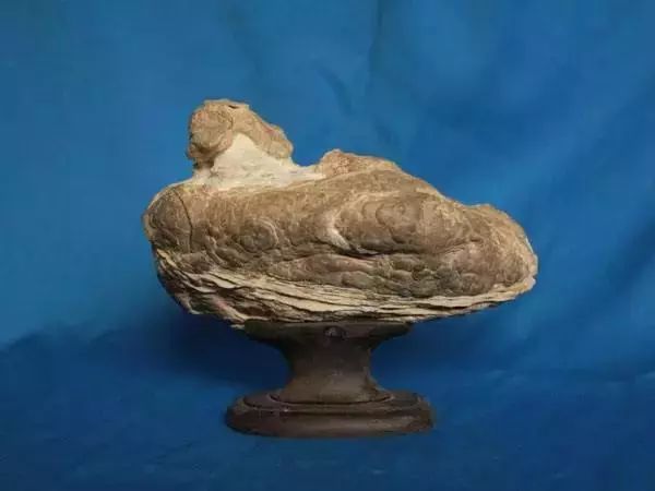 80种中国奇石图谱,临洮洮河奇石图谱