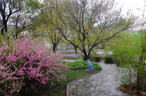 黑龙江最美大学排行榜,哈尔滨工程大学最美的校园