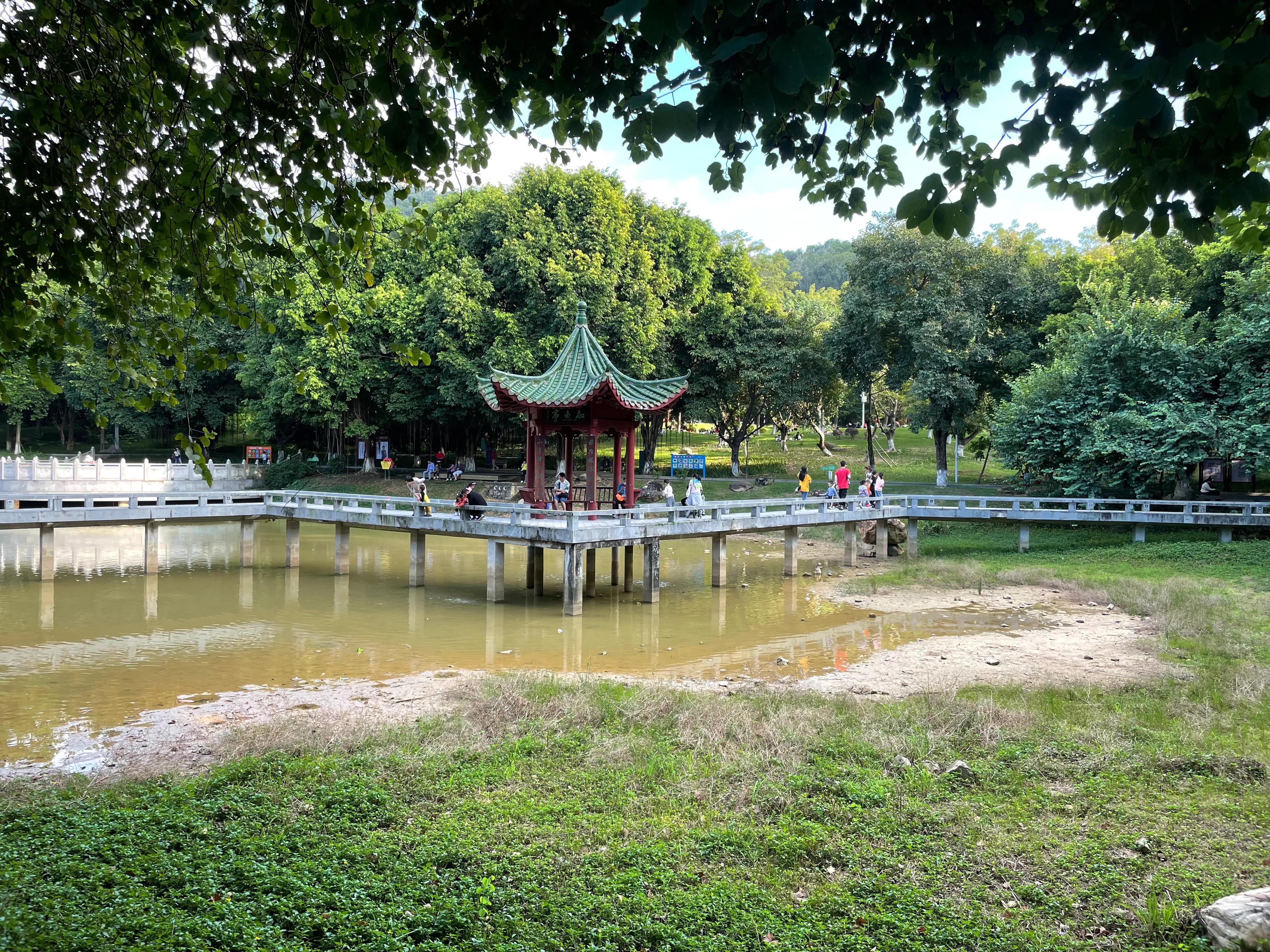 东莞旗峰公园爬山打卡,东莞人的公园