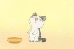 长沙特色美食的句子,长沙老字号美食顺口溜