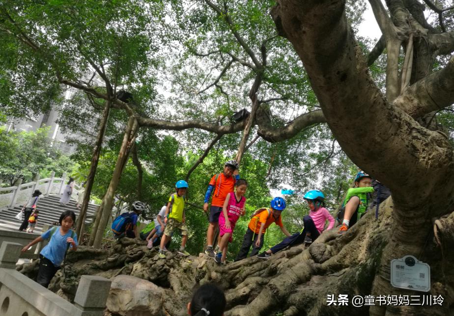 一个广州妈妈的10年“遛娃”经验分享,看完好想带孩子出去玩