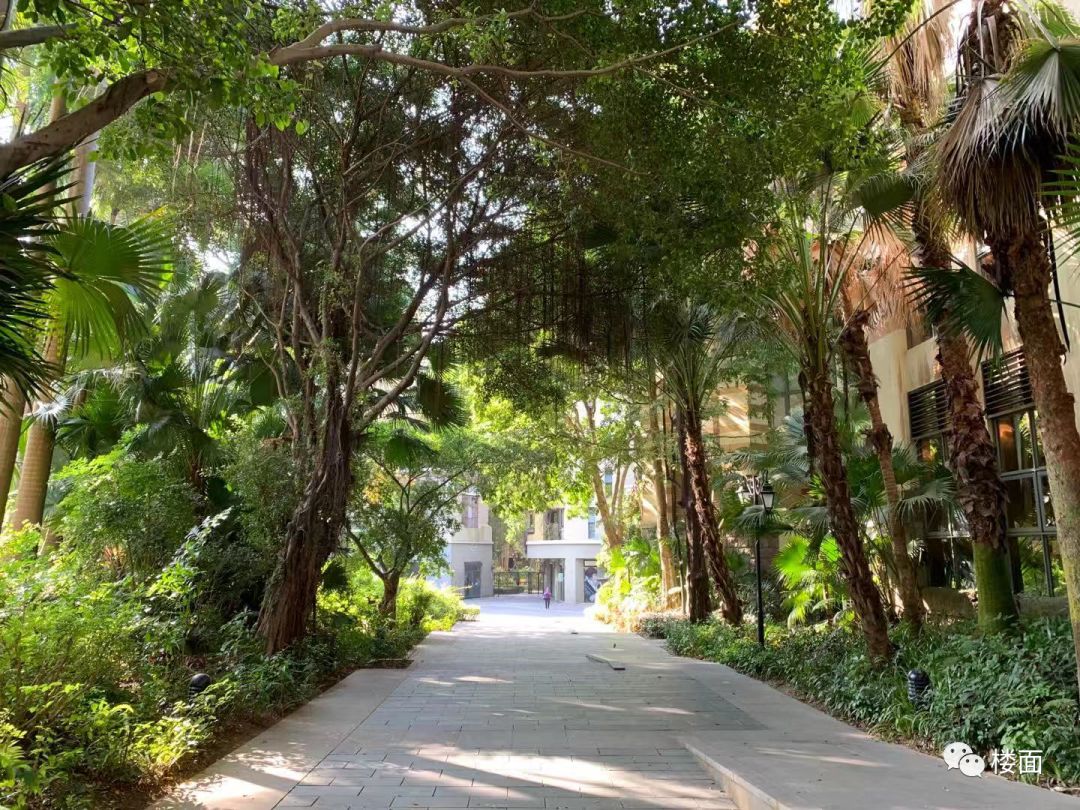 深圳华侨城的历史,深圳华侨城变迁史