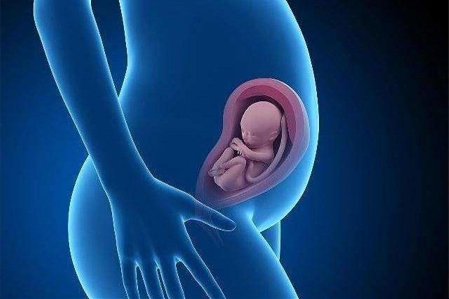 胎儿有了心跳孕妇会有反应吗,胎儿心率过快能直接引产吗