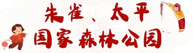 古城西安年味浓八方来客齐拜年,春节西安各景区年味十足