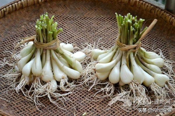 哪些美食的字是生僻字,美食版生僻字完整版