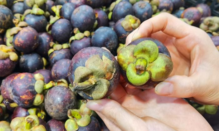 山竹怎么挑选公母不白吃,山竹怎么挑公母区别好坏