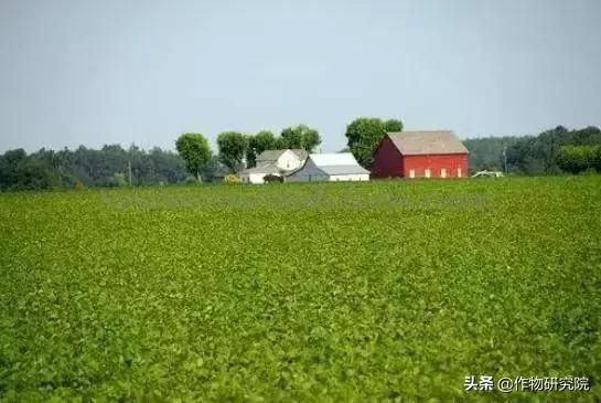 有机农场能赚钱吗,有机农场失败案例