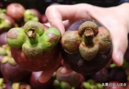 如何挑选山竹才不会挑到烂的,怎样挑选山竹才新鲜又好吃视频