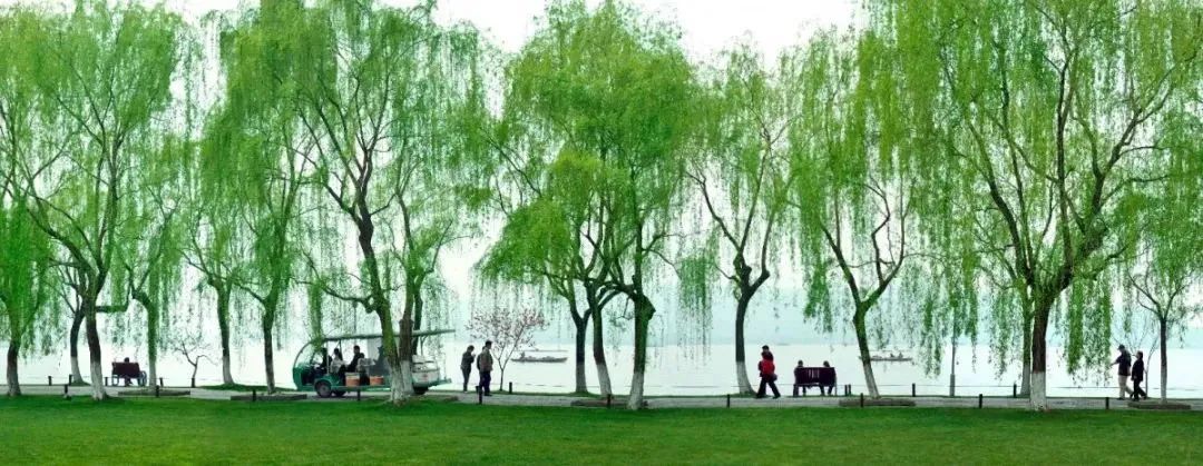 百分之九十的人都念错的二个字,杭州容易念错地名