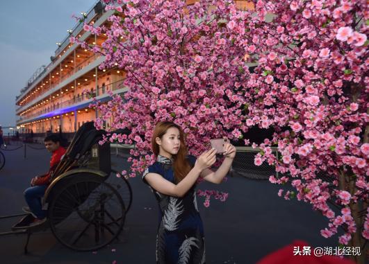 赏花攻略武汉,浪漫武汉赏花时间表