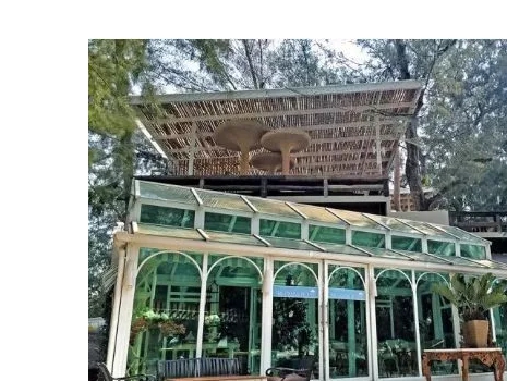 芭提雅十大必去景点,旅游芭提雅值得去的岛屿