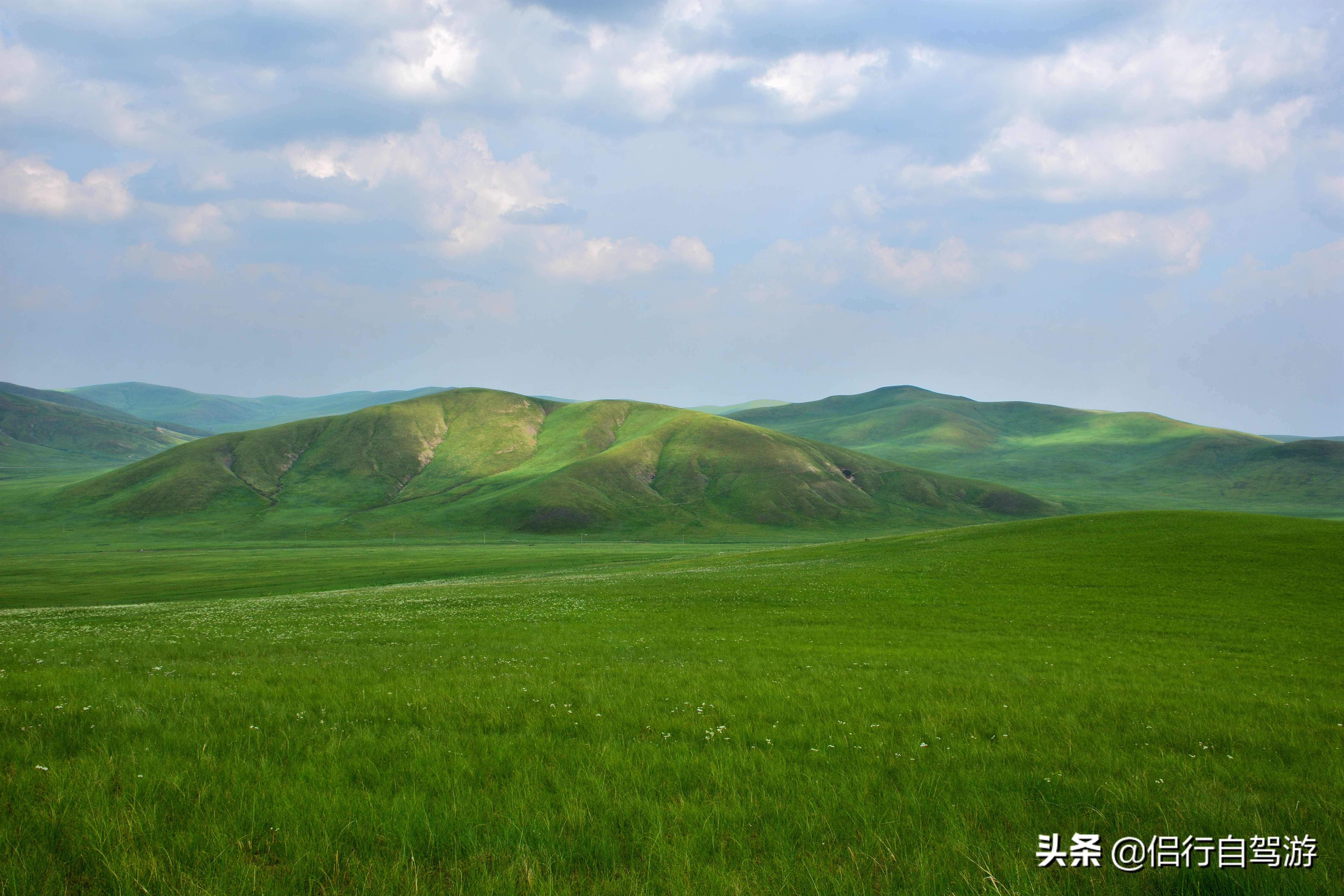 西乌旗景观大道,两条景观大道