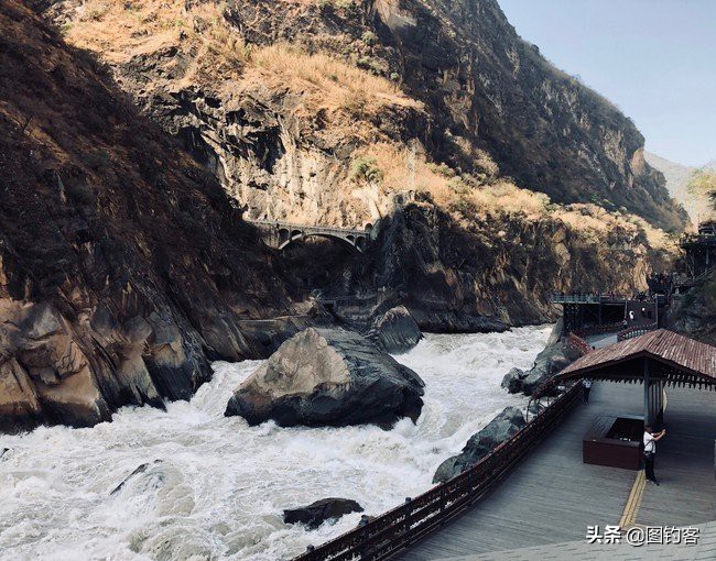 金沙江上游的江鱼有哪些,金沙江上游都有哪些鱼种