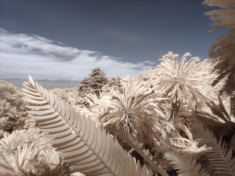 一加品牌遭人吐槽,一加被骂的视频