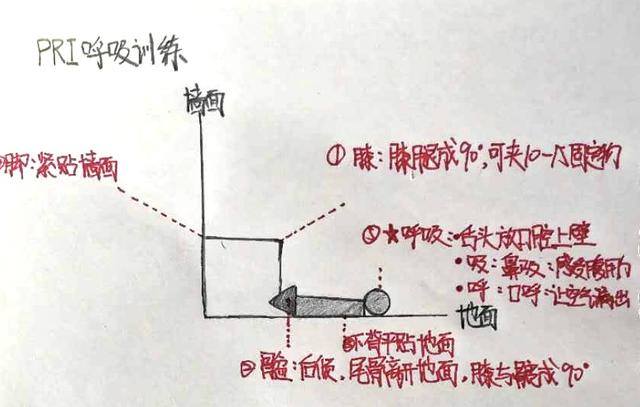 孕期加强版运动减肥,孕妇减肥操长胎不长肉34周