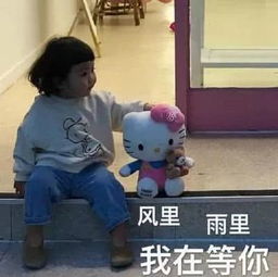 统招本科和全日制自考本科区别,自考本科和统招本科哪个好