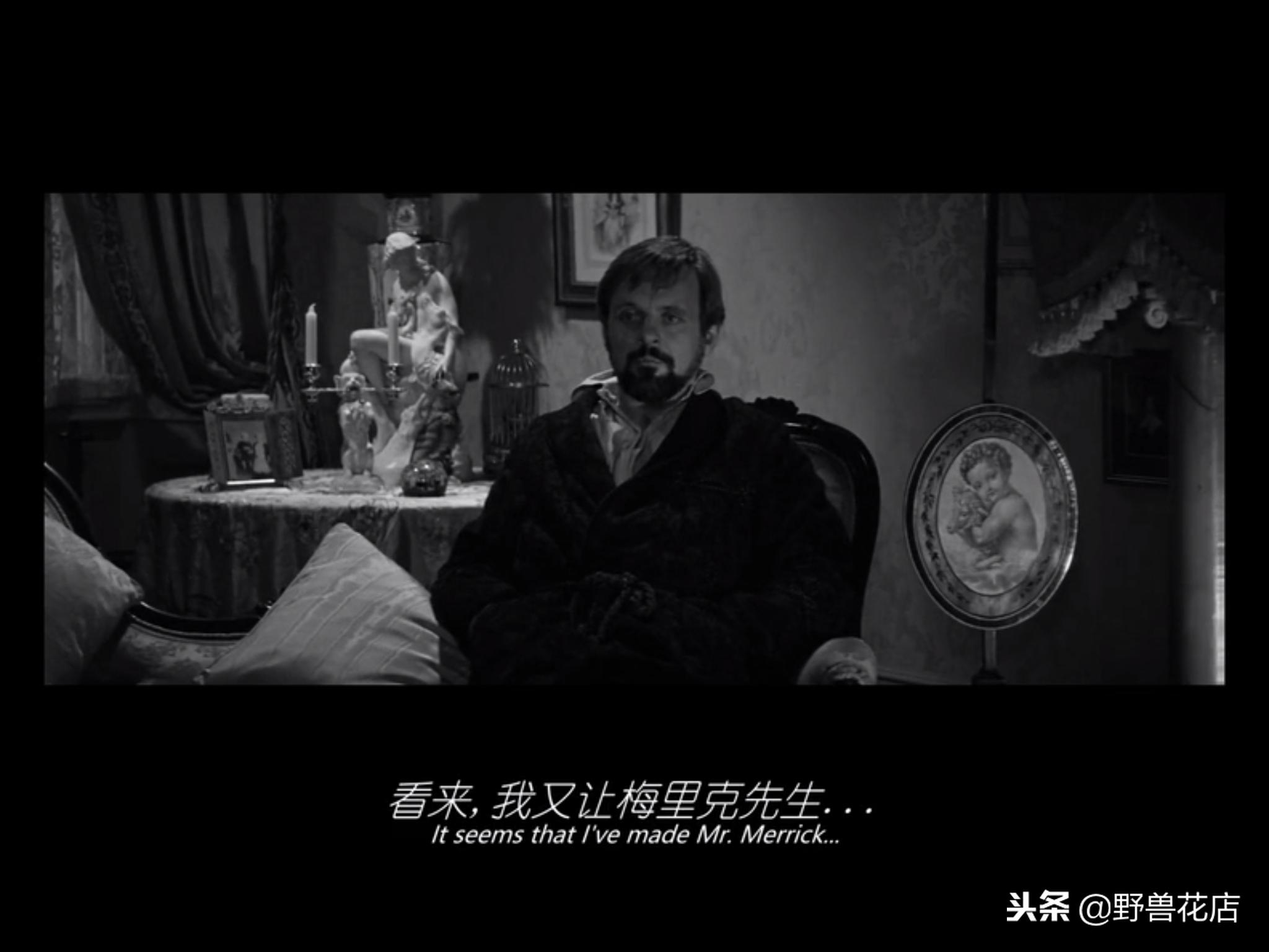 关于大象的经典电影,有关于大象的电影