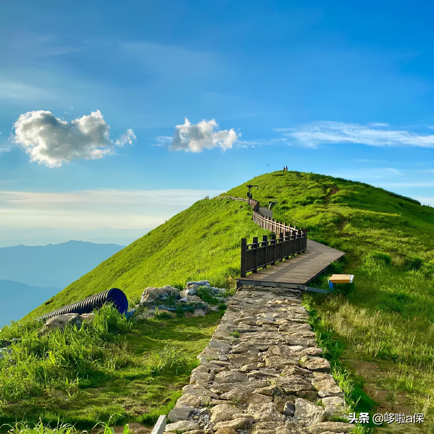 爬山治好了我的抑郁症,爬山能治愈抑郁症吗