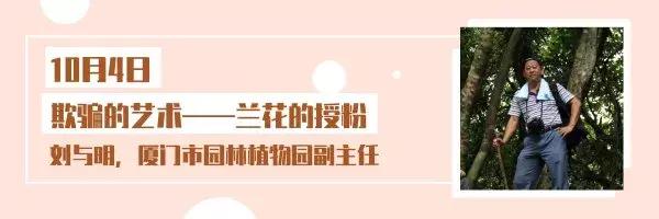 除了游山玩水还可以去哪里玩,除了去厦门还去哪里玩