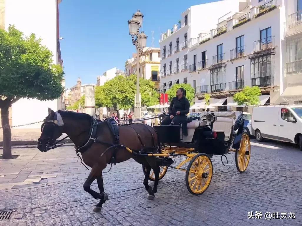 低价买全新相机,佳能850d单反相机现在的价格