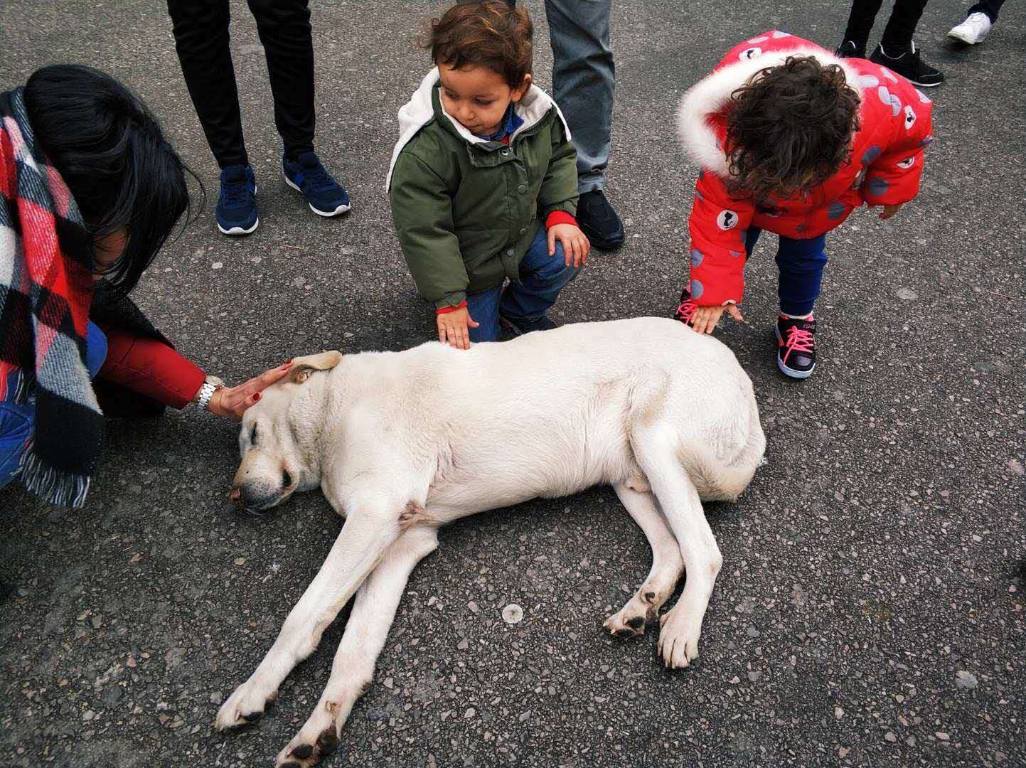 打开电脑我在办公室，关上电脑我在贝尔格莱德