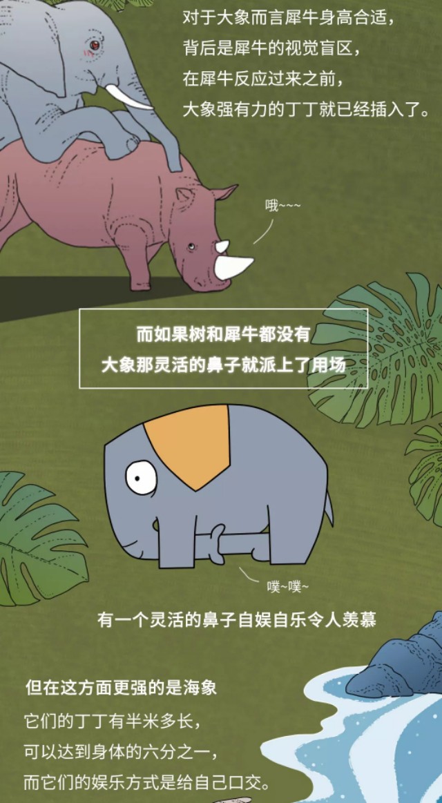 动物怎么上飞机,动物是如何乘坐飞机的