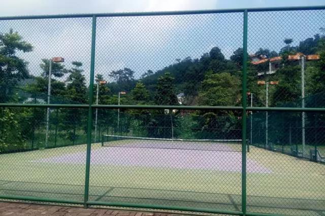 从化财富温泉度假酒店拍照,从化温泉财富酒店