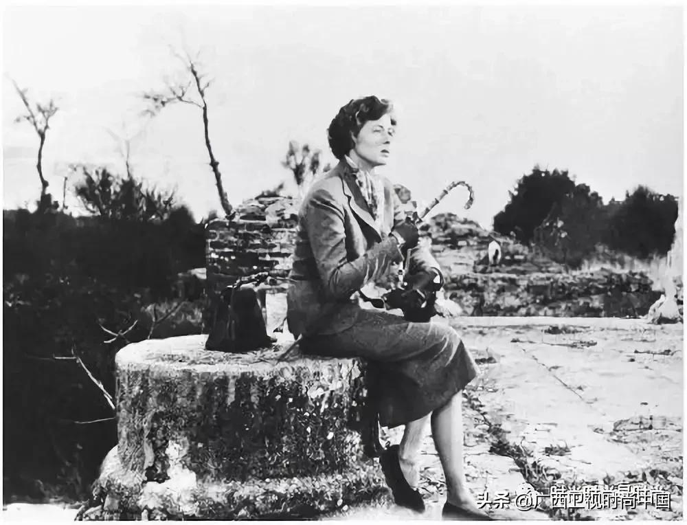 倪妮高圆圆同款,倪妮电影里的包