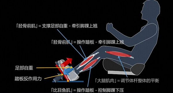 真皮座椅布局图解,汽车座椅设计舒服