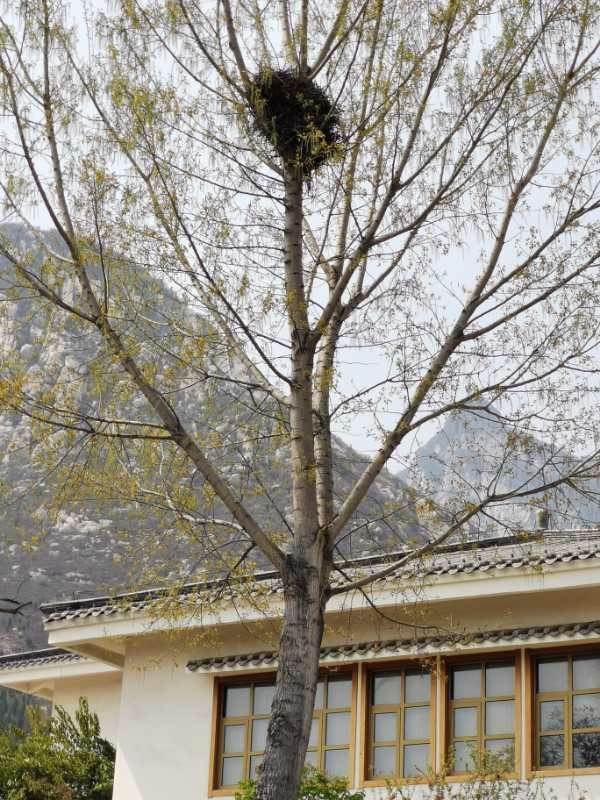 潇洒的奶奶是怎么来的,洒脱的老奶奶舞蹈视频