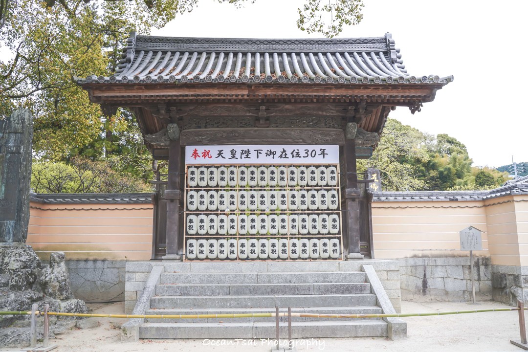 日本游轮游避坑,日本邮轮八天七夜具体行程